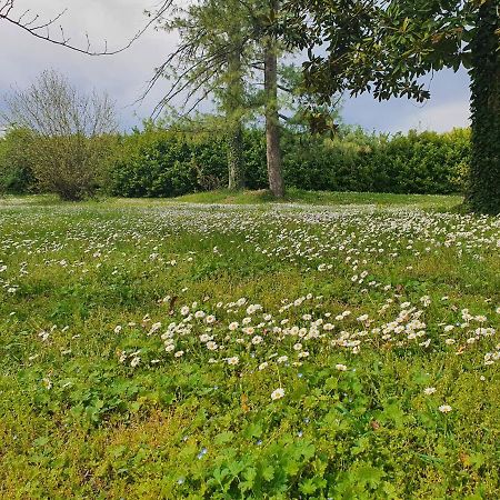 Corte Malpensata Bigarello المظهر الخارجي الصورة